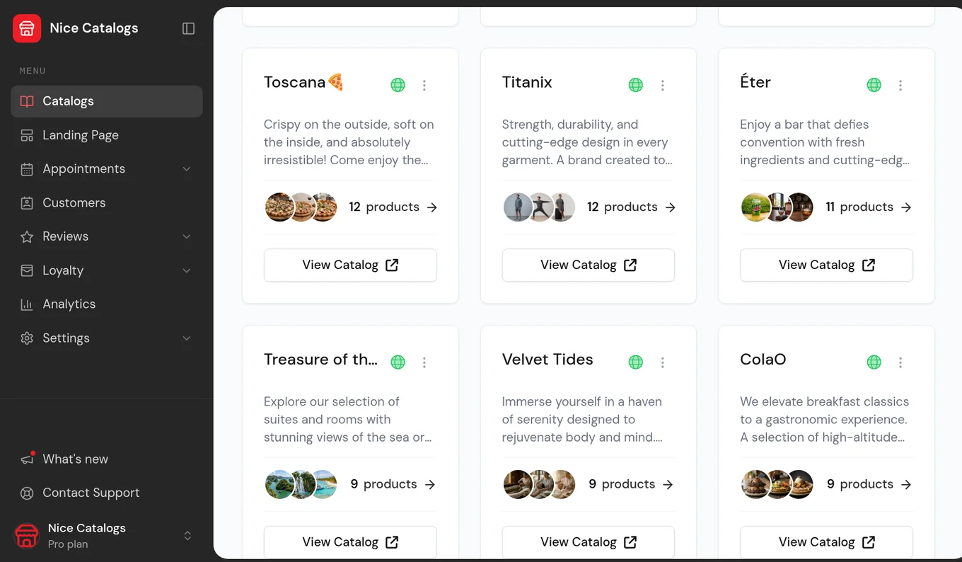 Nice Catalogs dashboard listing catalogs including the Velvet Tides demo spa, with the sidebar for Catalogs, Appointments, Customers, Reviews and Loyalty